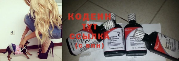 мяу мяу мука Баксан
