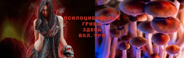 MDMA Армянск