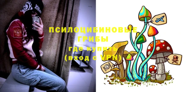 мяу мяу мука Баксан